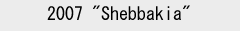 Shebbakia